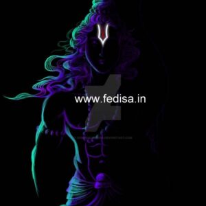 Bungalow house design most expensive house contemporary house Model No - 0024