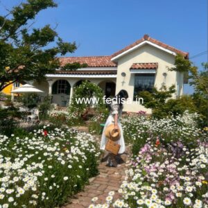 Bungalow house design most expensive house contemporary house Model No - 0169