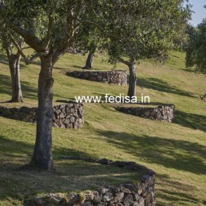 House front design  new house design duplex house design Model No - 0632