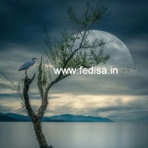 House front design  new house design duplex house design Model No - 0708